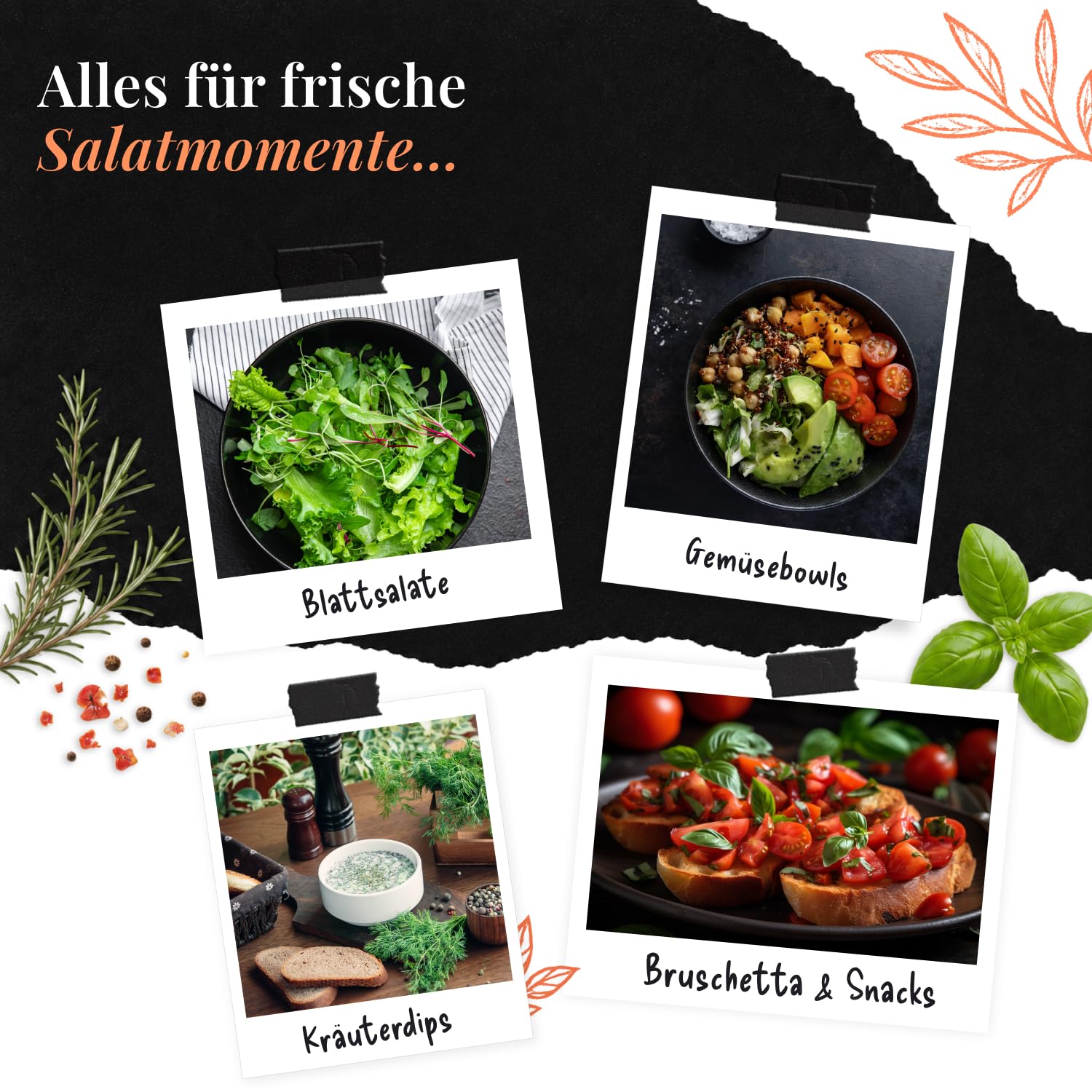 l-ffelgeist-da-haben-wir-den-salat-gew-rzset-6er-salatkr-uter image 4