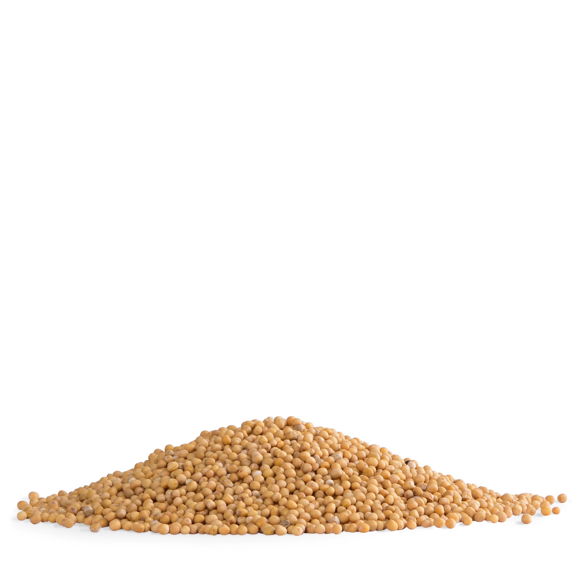 pfeffersack-soehne-senfsaat-gelb-senfk-rner-nachf-llbeutel-mild image 2
